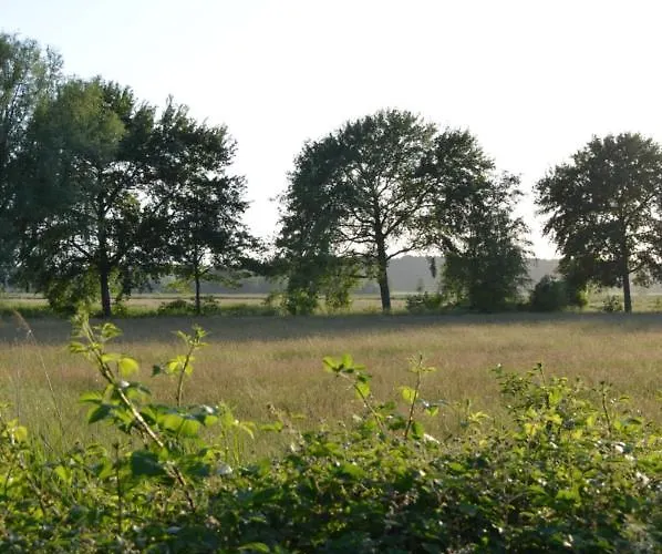 Bed & Breakfast Burger Faehrhaus Burg (Dithmarschen)